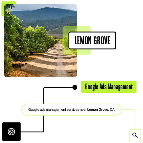Digital Ads Management near Lemon Grove CA
