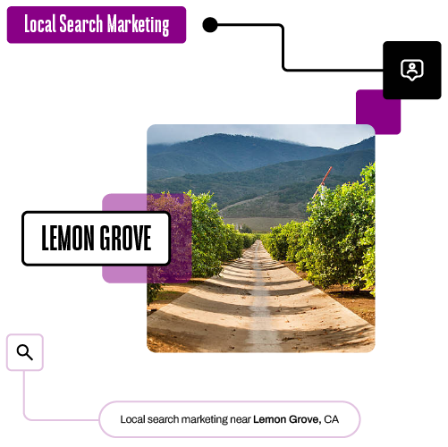 Local Search Marketing near Lemon Grove CA
